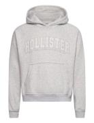 Hco. Guys Sweatshirts Grey Hollister