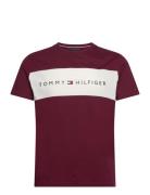 Ss T-Shirt Block Logo Burgundy Tommy Hilfiger