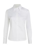 Cotton Shirt Slim Fit White Calvin Klein