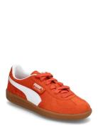 Palermo Jr Orange PUMA