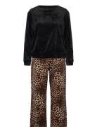 Pj Set Velours Leopard Black Hunkemöller