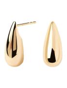 Large Sugar Earrings Gold PD Paola