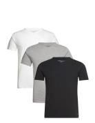 Stretch Vn Tee Ss 3Pack Black Tommy Hilfiger