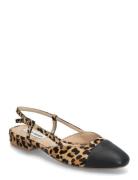 Belinda-L Ballerina Black Steve Madden