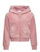 Sweatshirt Velour With Hoodie Pink Lindex