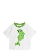 Dolphin Sp Ss Tee Green Mini Rodini