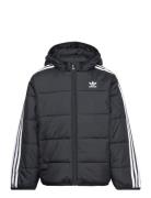 Padded Jacket Black Adidas Originals