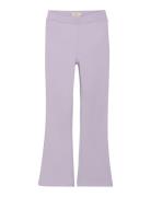 Pants Rib Purple Creamie