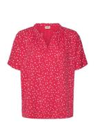 Frkamma Bl 1 Red Fransa