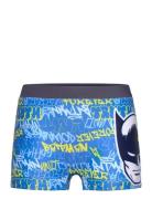 Swimsuit Blue Batman