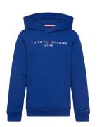 Essential Hoodie Blue Tommy Hilfiger