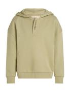 Embro. Ck Logo Terry Hoodie Green Calvin Klein