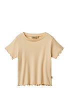 Rib T-Shirt S/S Irene Beige Wheat