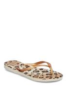 Slim Animal Beige Havaianas