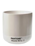 Thermo Cup Grey PANT