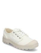 Pampa Oxford White Palladium