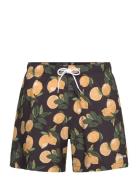 Hco. Guys Swim Black Hollister