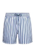 Blue Striped Shorties Blue Pockies