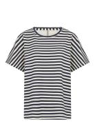 Sc-Barni Navy Soyaconcept