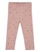 Tnsbodelia Rib Leggings Pink The New