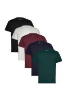 Icon T Shirt 5 Pack Patterned Hollister
