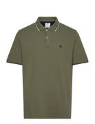 Polo Green Champion