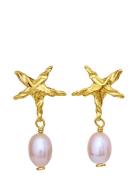 Sandie Earrings Gold Maanesten