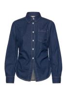 Maria Navy Baum Und Pferdgarten