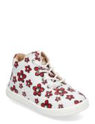 Edsbro Xc White Kavat