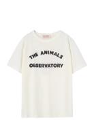 Big Rooster Kid T-Shirt White Logo 2Y White THE ANIMALS OBSERVATORY