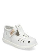 Blombacka White Kavat