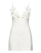 Ingrid Flower Full Cup Dress White Bardot