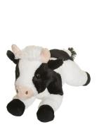 Teddy Farm, Lying Cow Black Teddykompaniet