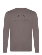 T-Shirt Brown Armani Exchange