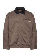 A- Ls Cotton Fz Blouson Jacket Brown Calvin Klein Jeans