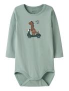 Nbmnuts Ls Body Box Green Name It