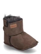 Booty? Sheapskin Brown Pom Pom