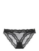 Origins-Shimmer Dot Mesh Brief Brown Dorina