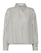 Frviolet Sh 1 Grey Fransa