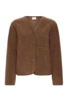 Frgwynne Ja 1 Brown Fransa