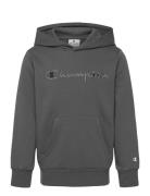 Hooded Sweatshirt Grey Champion
