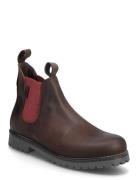 Frans Marstrand Brown Marstrand