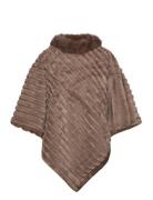 Fqkokan-Cape Brown FREE/QUENT