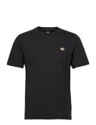 M Ss Mapleton Tee Black Dickies