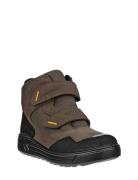 Urban Snowboarder Brown ECCO