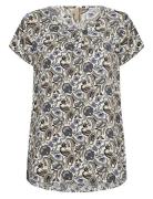 Sc-Samea Navy Soyaconcept