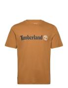 Linear Logo Short Sleeve Tee Brown Timberland