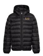 Down Jacket Black EA7