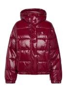 Shine Puffer Jacket Burgundy Calvin Klein Jeans