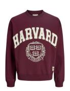 Jorharvard Sweat C.n Styd Ss25 Burgundy Jack & J S